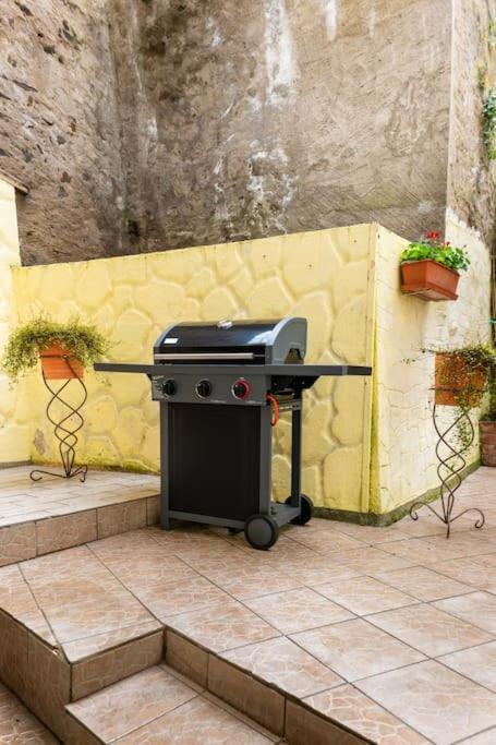 Apartamento E"Stein 3 Zkb Terrasse Coblenza Exterior foto